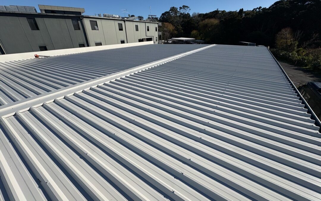 Colorsteel Roof Replacement