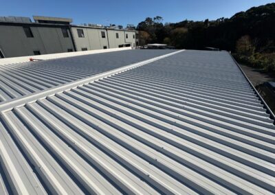 Colorsteel Roof Replacement